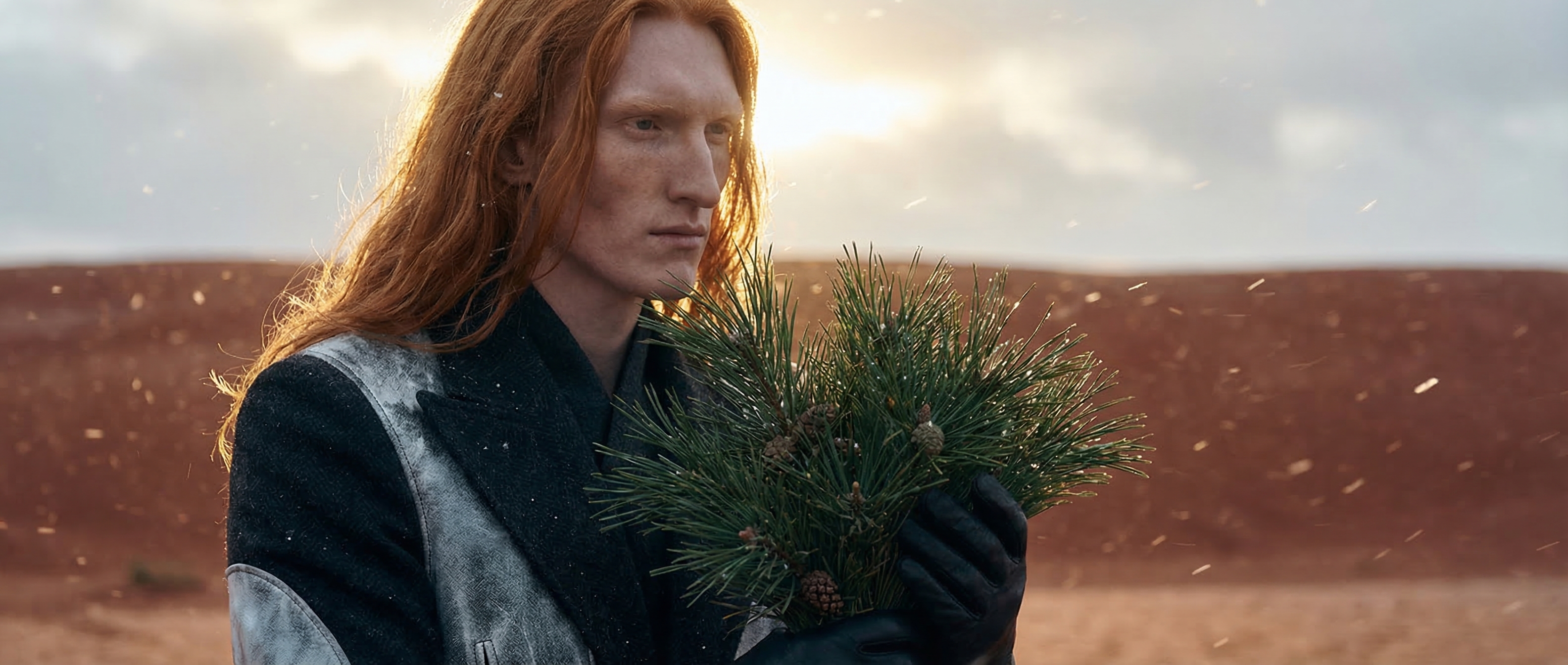 Pine image for Top // Signal